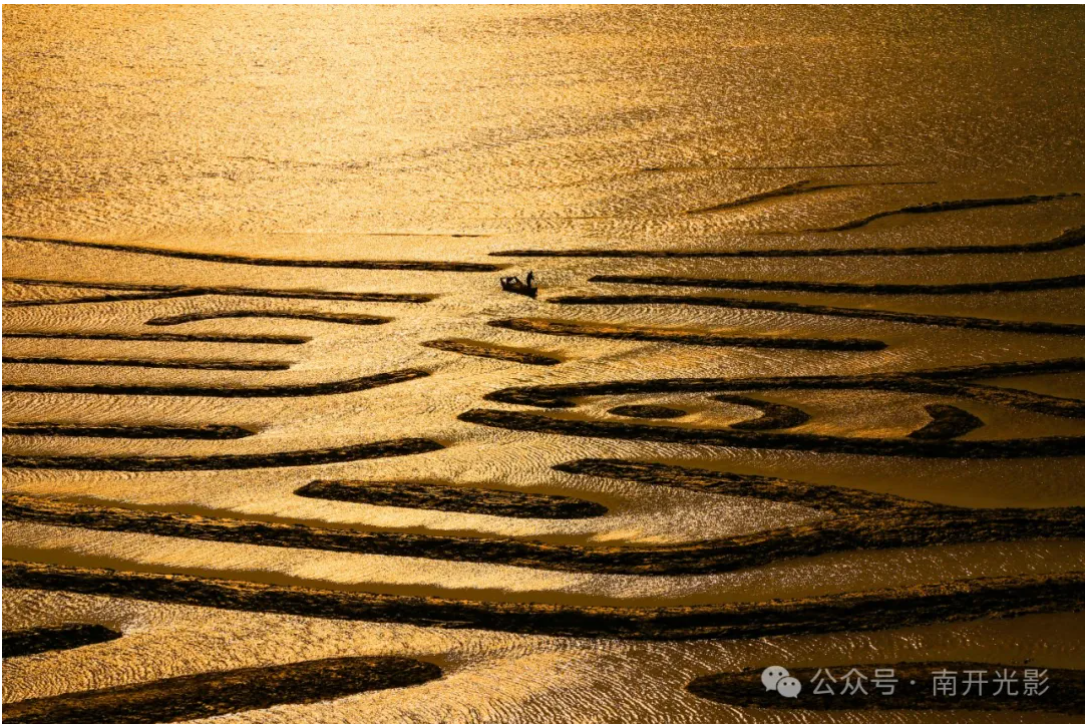屏幕截图 2024-12-20 175442.png